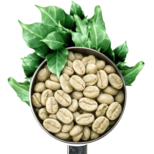 Green coffee beans