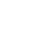 Quality Icon White