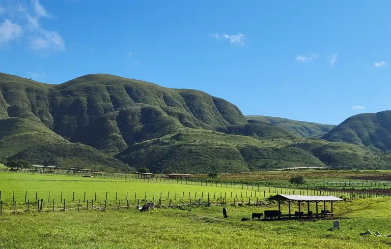 Serra Da Canastra Mountain