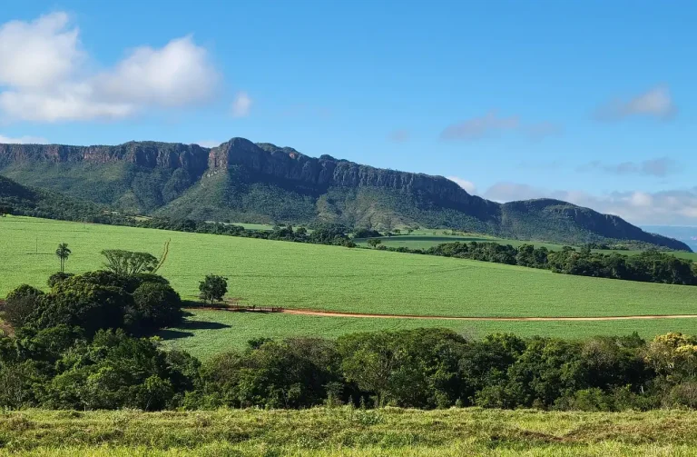 Serra Da Canastra Mountain